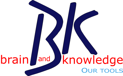 BK S.R.L. logo
