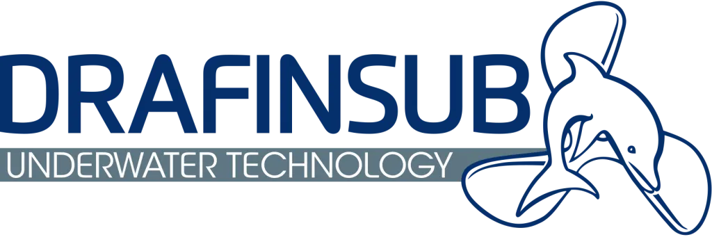 DRAFINSUB S.R.L. logo