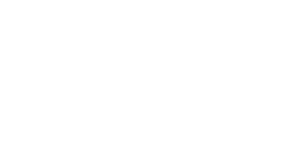 Logo Polo DLTM